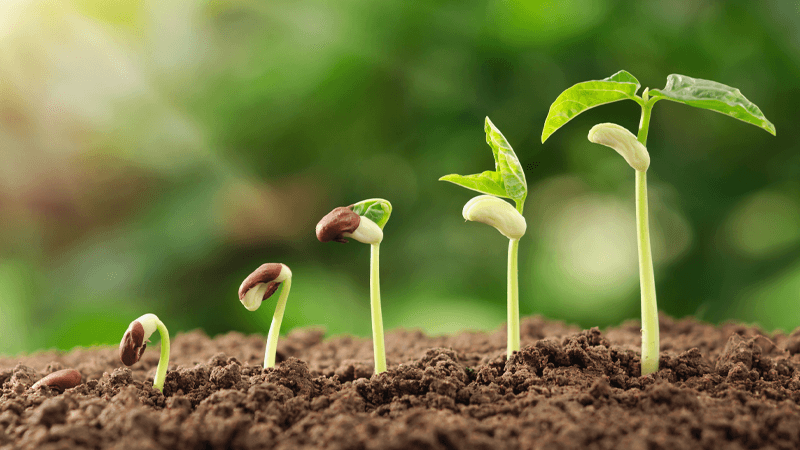 Ag Complex Improvements Among Items to Get Green Light from Board of Regents