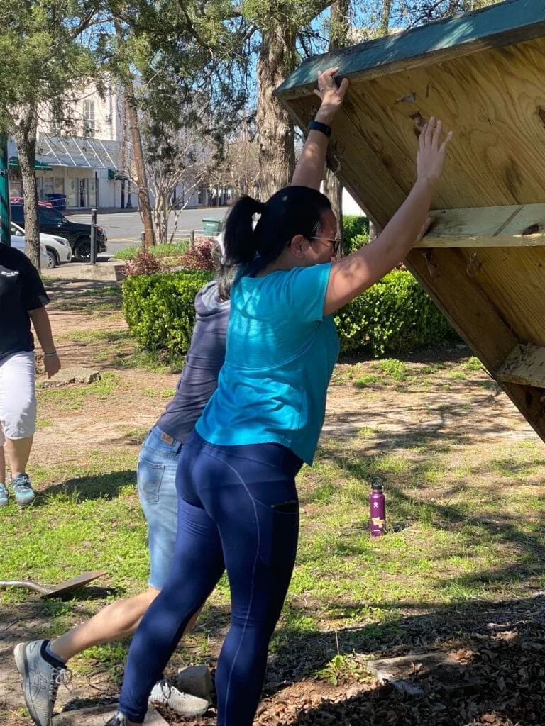 HLI Class 41 Rather Park