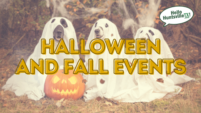 Halloween and Fall Festivals