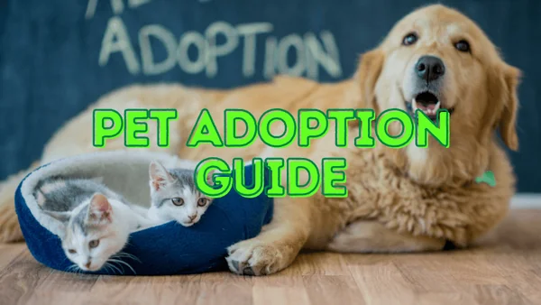 Pet Adoption Guide