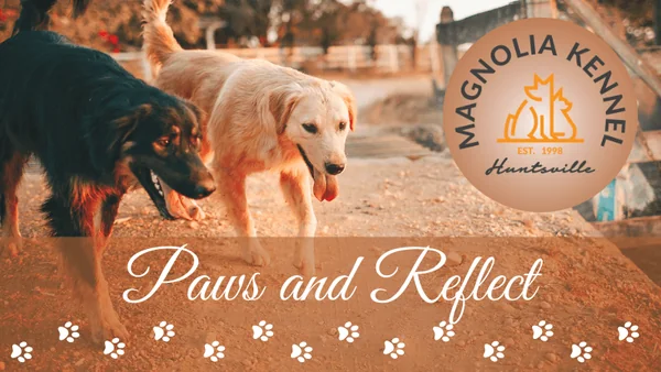 Magnolia Kennel Paws and Reflect: Summer Dog Safety
