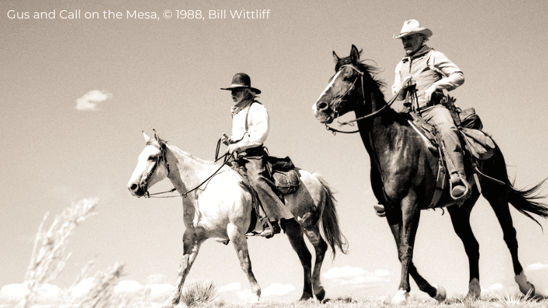 Lonesome Dove Exhibit Opens at Sam Houston Museum