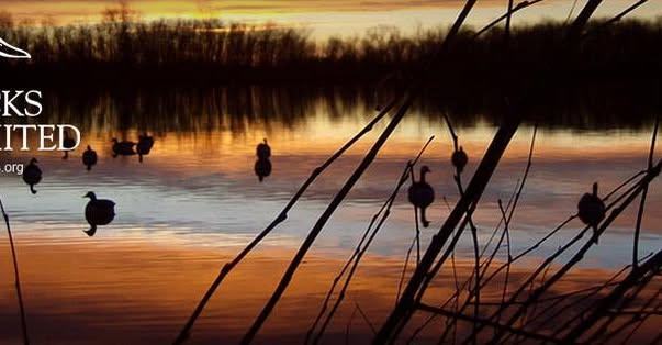 Huntsville Ducks Unlimited Banquet